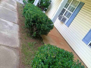 Bush Trimming by Jamarcus Liegey for Donna T. in Bethlehem, GA