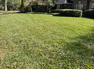 Tasha N.'s Lawn Care service result