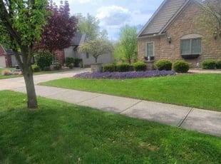 Sandra B.'s Lawn Mowing Service service result