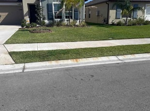 Paul I.'s Lawn Mowing service result