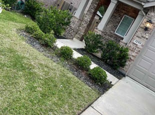 Bush Trimming by Khalil Edwards for Brian G. in Spring, TX