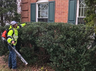Bush Trimming by Donald Tucker for Virginia H. in Woodbridge, VA