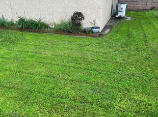 Daphne E.'s Lawn Mowing Service service result