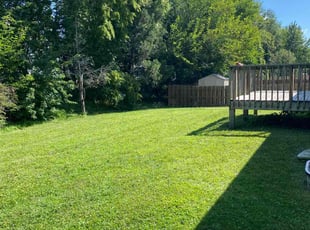 Ralph B.'s Lawn Care service result