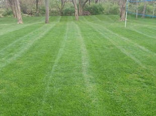 Graham L.'s Lawn Mowing Service service result