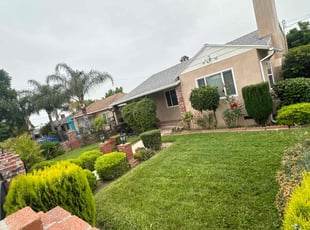 Peter M.'s Lawn Mowing service result