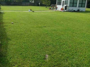 Johnnie D.'s Lawn Mowing service result