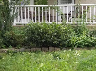 Landscaping by Ervan Stanel for Lori S. in Philadelphia, PA