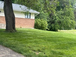 Laurie C.'s Lawn Maintenance service result