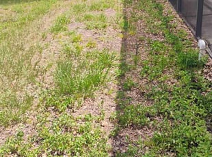 Cleanups by Michelle Baker for Gail D. in Hudson, FL