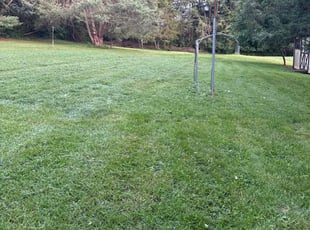 Michael J.'s Lawn Care service result
