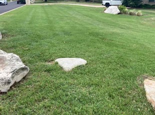 Sylvia G.'s Lawn Mowing Service service result