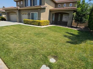 Jorge R.'s Lawn Service service result