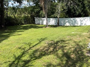 Michelle U.'s Lawn Mowing service result