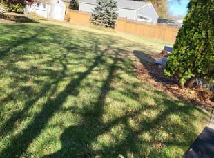 Leaf Removal by Lara Rahmani for Jeff H. in Alexandria, VA