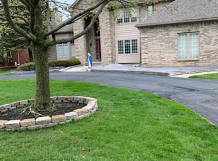 Chevelle J.'s Grass Cutting service result