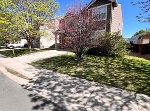 Valerie R.'s Lawn Care service result