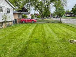 Sandra W.'s Lawn Mowing Service service result