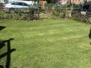 Logan M.'s Lawn Mowing service result