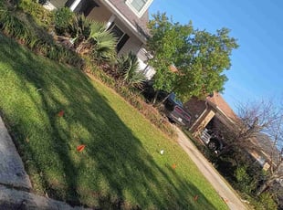Josh M.'s Lawn Service service result