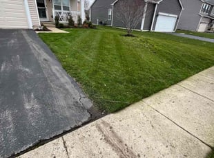 Neil V.'s Grass Cutting service result