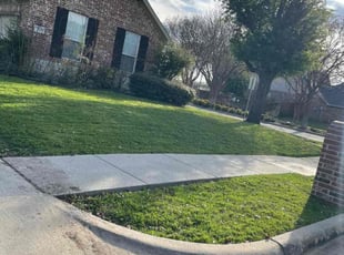 Dooki L.'s Lawn Maintenance service result