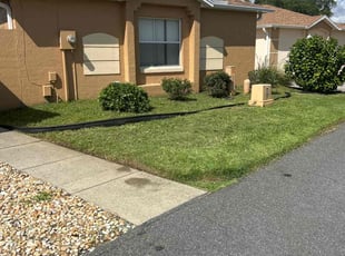 Dan F.'s Yard Cutting service result
