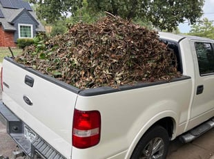 Leaf Removal by Manuel Gonzalez for Jones M. in Fort Worth, TX