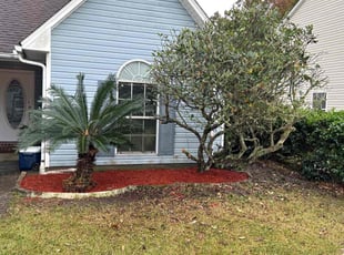Landscaping by Matt Schmidt for Jean G. in Gulf Breeze, FL
