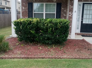 Bush Trimming by Korey McCoy for Lateisha S. in Dallas, GA