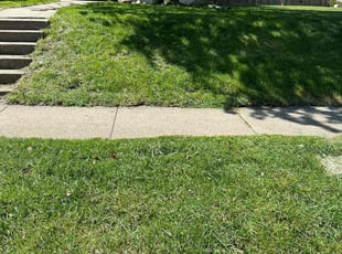 Jason S.'s Lawn Mowing service result