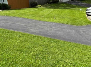 Richard R.'s Lawn Mowing service result