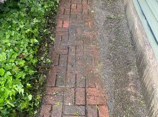 Cleanups by Richard Luiza Jr for Thijs M. in Seattle, WA