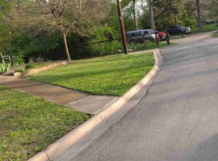 Melissa S.'s Lawn Mowing service result