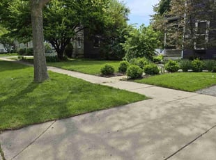 Jim B.'s Lawn Mowing service result