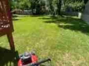 Dieudonne A.'s Lawn Maintenance service result