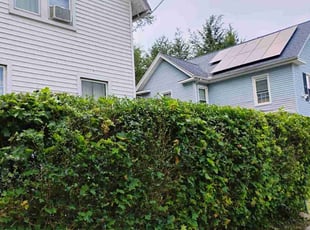 Bush Trimming by Julian Carrero for Whittney T. in Meriden, CT