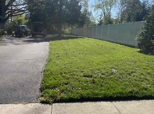 Jeffrey S.'s Lawn Mowing service result