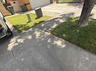 Frank s.'s Lawn Care service result