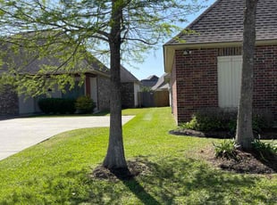 Volomi G.'s Lawn Mowing Service service result