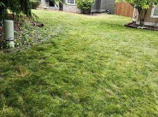 Vignesh P.'s Lawn Service service result