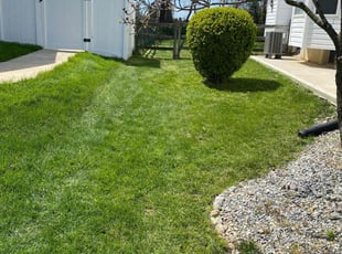 Brunet B.'s Lawn Care service result