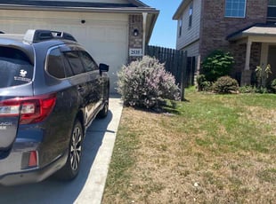 Bush Trimming by Victor Villarreal for Jabrielle Joy S. in San Antonio, TX