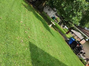 Anthony A.'s Lawn Maintenance service result