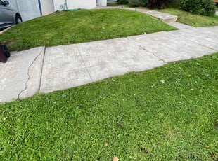 Jeffrey H.'s Yard Cutting service result