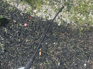 Weeding by Devin Jones for Patrick P. in Jacksonville, FL