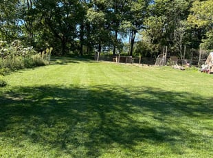 Danielle C.'s Lawn Service service result