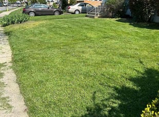 Elizabeth E.'s Lawn Maintenance service result
