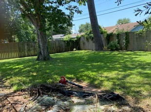 Michelle B.'s Lawn Service service result
