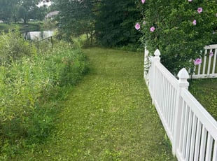 Bush Trimming by Marcus Hessey for Adarsh G. in South Bend, IN